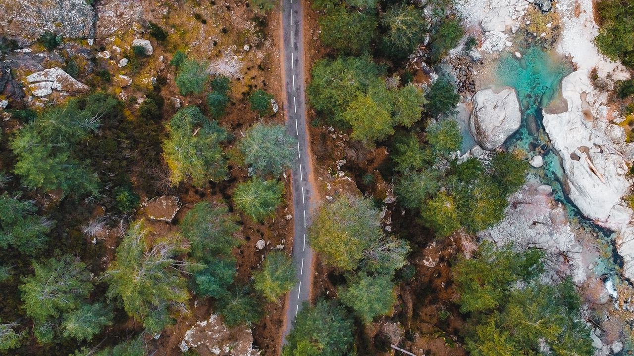 Обои дорога, деревья, вид сверху, природа