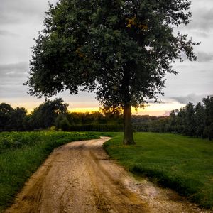 Превью обои дорога, деревья, закат, природа