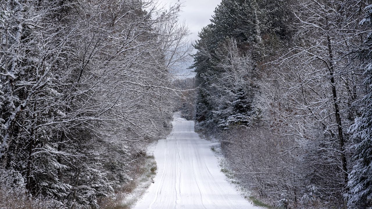 Обои дорога, деревья, зима, снег, природа, пейзаж