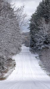 Превью обои дорога, деревья, зима, снег, природа, пейзаж