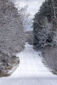 Превью обои дорога, деревья, зима, снег, природа, пейзаж