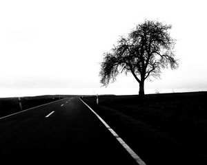 Превью обои дорога, дерево, чб, минимализм, пейзаж