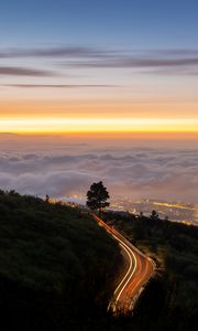 Превью обои дорога, дерево, фризлайт, кусты, облака, сумерки