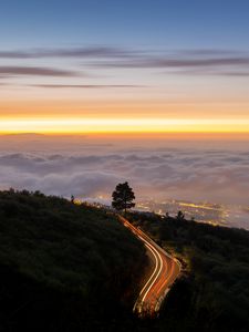 Превью обои дорога, дерево, фризлайт, кусты, облака, сумерки
