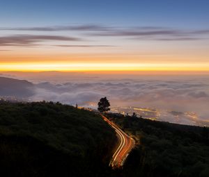 Превью обои дорога, дерево, фризлайт, кусты, облака, сумерки