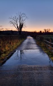 Превью обои дорога, дерево, поле, ограждение, отражение, природа