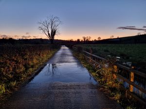 Превью обои дорога, дерево, поле, ограждение, отражение, природа
