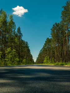 Превью обои дорога, деревья, лето