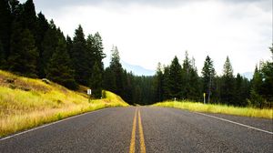 Превью обои дорога, ель, разметка, даль, деревья