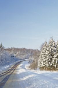 Превью обои дорога, ели, зима