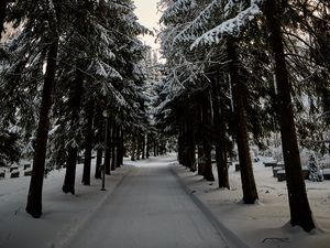 Превью обои дорога, елки, снег, зима, деревья