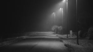 Превью обои дорога, фонари, улица, темный, чб, ночь