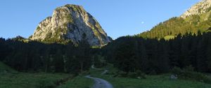 Превью обои дорога, гора, лес, пейзаж, природа
