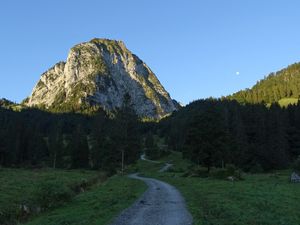 Превью обои дорога, гора, лес, пейзаж, природа