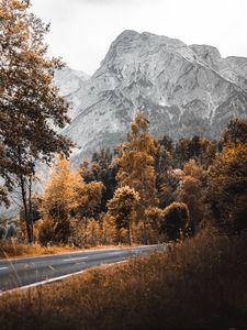 Превью обои дорога, горы, деревья, природа