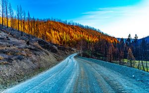 Превью обои дорога, холмы, деревья, осень, природа