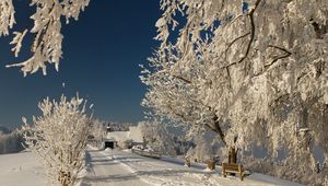 Превью обои дорога, иней, ветви, зима, скамейка, солнечно