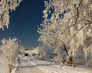 Превью обои дорога, иней, ветви, зима, скамейка, солнечно