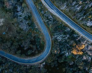 Превью обои дорога, изгибы, деревья, лес, вид сверху