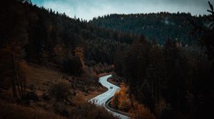 Превью обои дорога, извилистая, лес, деревья