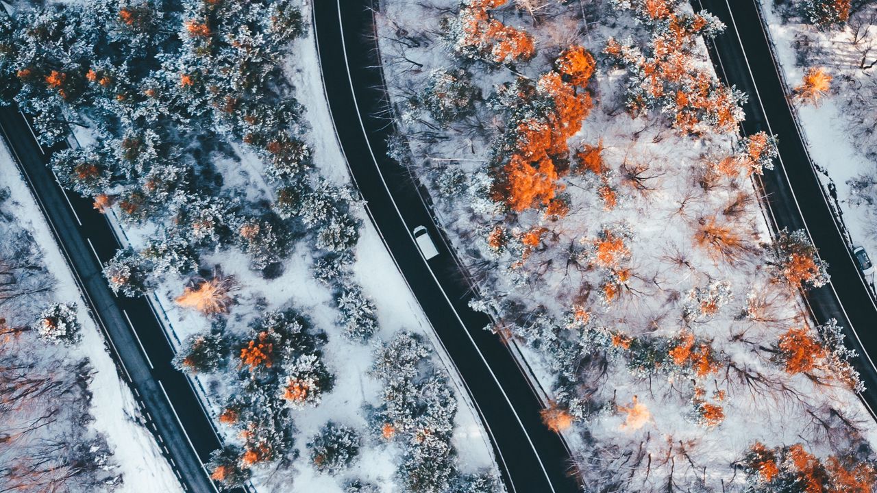 Обои дорога, извилистый, деревья, снег, панорама, вид сверху, зигзаг