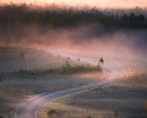 Превью обои дорога, извилистый, туман, деревья