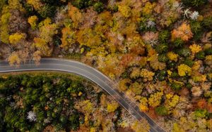 Превью обои дорога, извилистый, вид сверху, деревья, верхушки