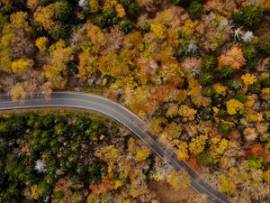 Превью обои дорога, извилистый, вид сверху, деревья, верхушки