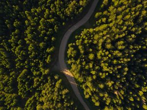 Превью обои дорога, извилистый, вид сверху, лес, деревья