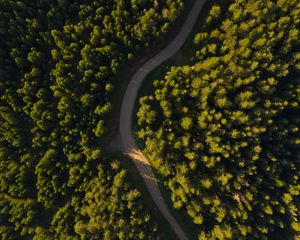 Превью обои дорога, извилистый, вид сверху, лес, деревья