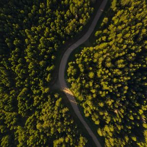 Превью обои дорога, извилистый, вид сверху, лес, деревья