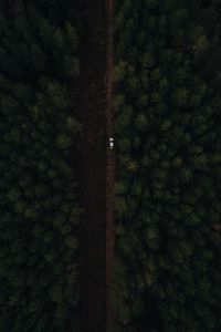 Превью обои дорога, лес, автомобиль, вид сверху