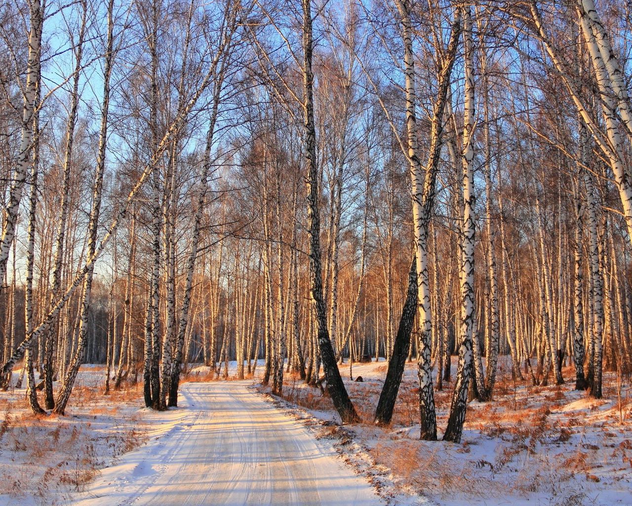 Март в лесу