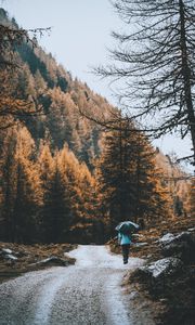 Превью обои дорога, лес, человек, зонт, дождь