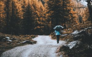 Превью обои дорога, лес, человек, зонт, дождь