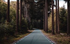Превью обои дорога, лес, деревья, сосна, даль