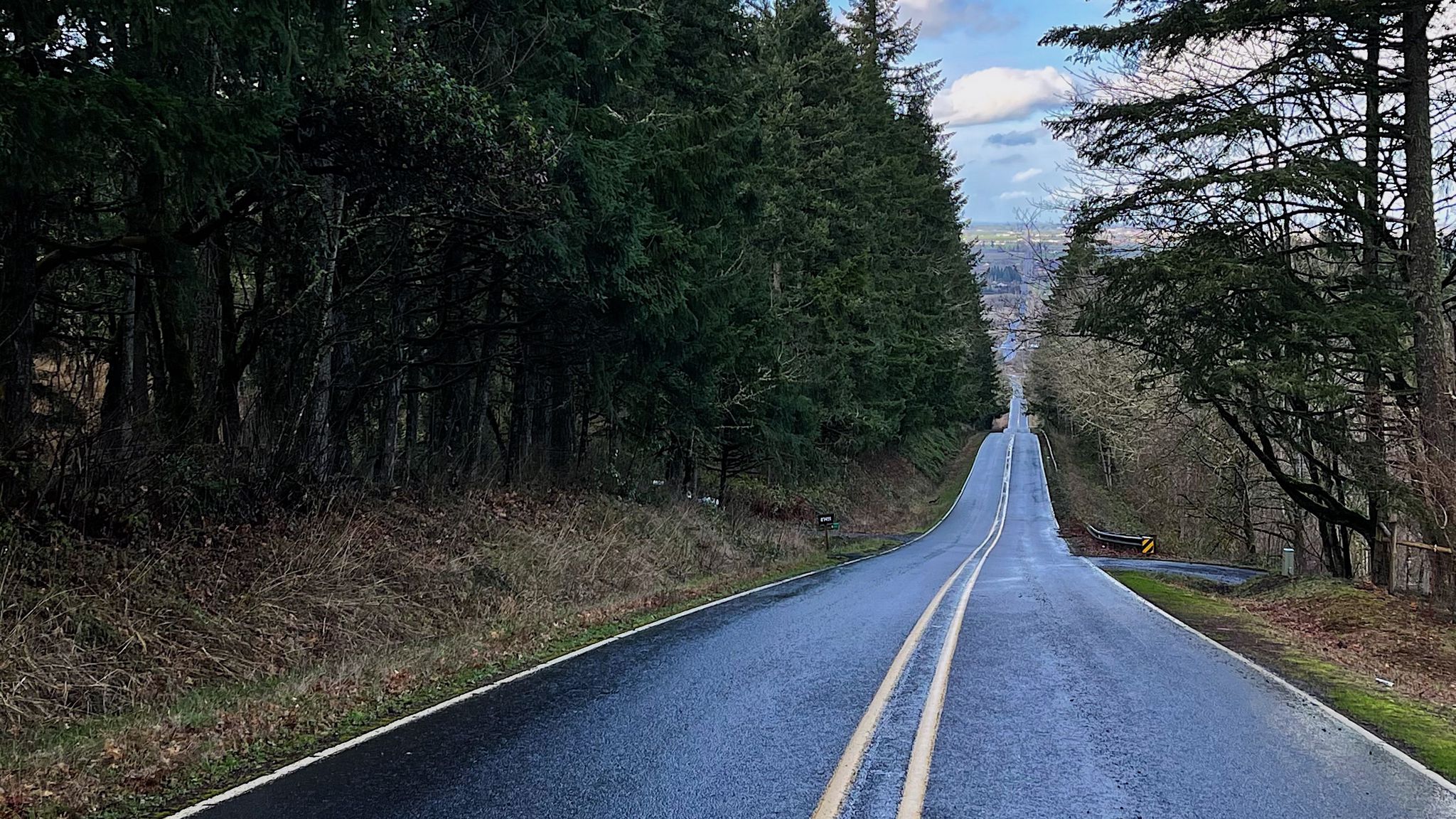 Дорога в лесу фото. Дорога в лесу обои на два монитора. The long Road and the Forest. Лес и дорога фото из машины.