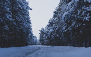 Превью обои дорога, лес, деревья, снег, зима, природа