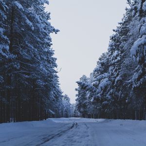 Превью обои дорога, лес, деревья, снег, зима, природа