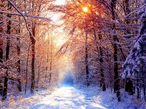 Превью обои дорога, лес, деревья, снег, зима, аллея, солнце, свет, лучи
