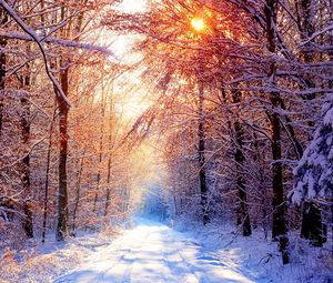 Превью обои дорога, лес, деревья, снег, зима, аллея, солнце, свет, лучи