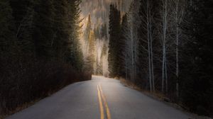 Превью обои дорога, лес, холм, деревья, асфальт
