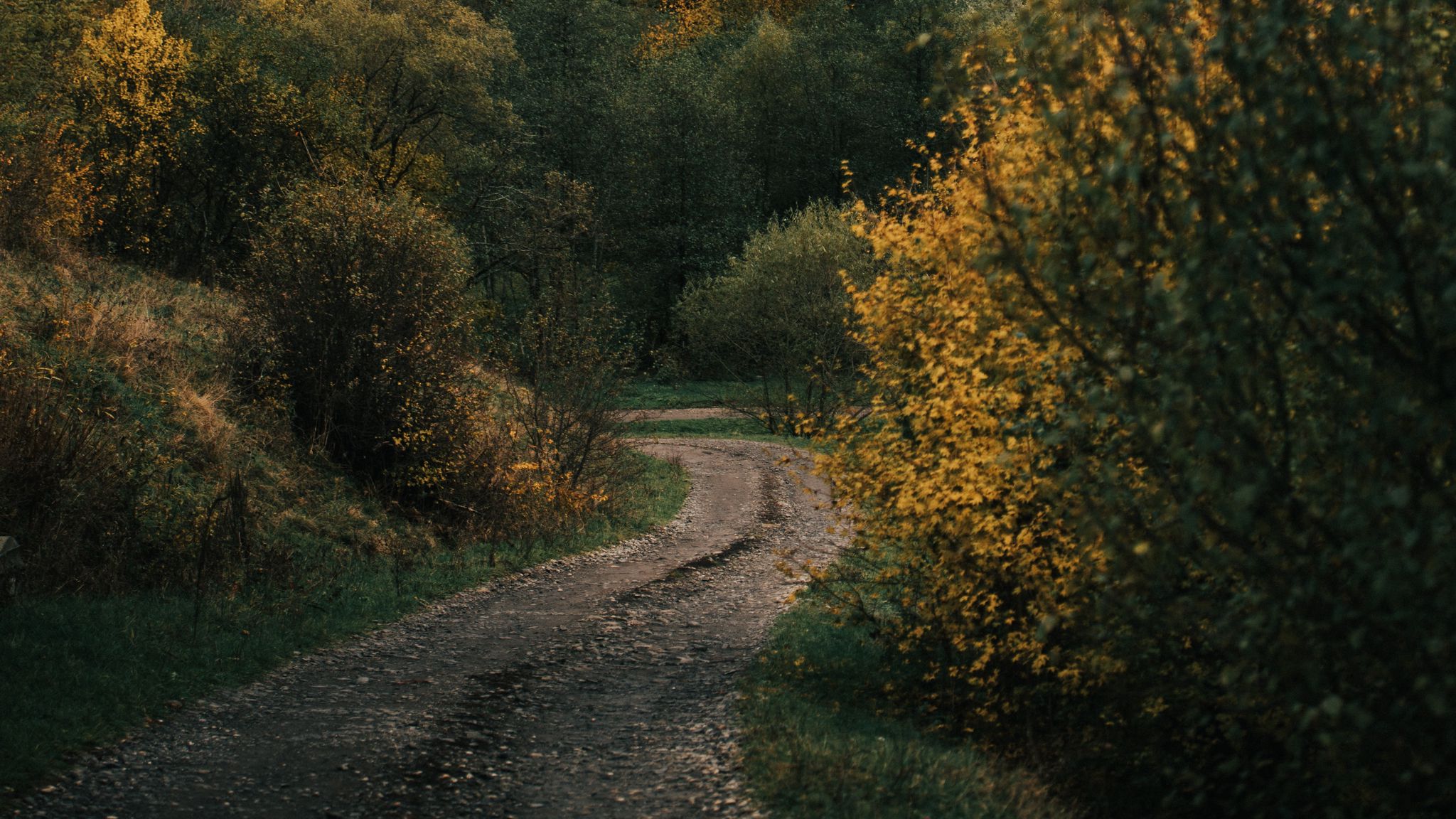 Осень холм тропинка