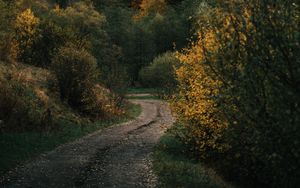Превью обои дорога, лес, холм, осень, природа