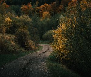 Превью обои дорога, лес, холм, осень, природа