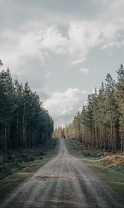 Превью обои дорога, лес, хвойный, холм, природа