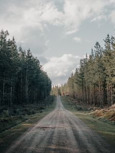 Превью обои дорога, лес, хвойный, холм, природа