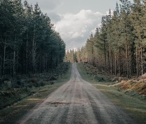 Превью обои дорога, лес, хвойный, холм, природа