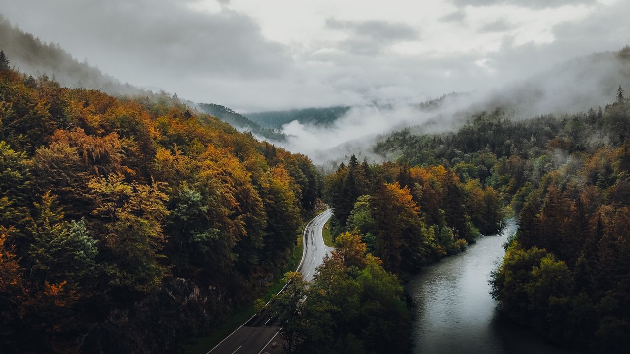 Обои дорога, лес, осень, туман, облака