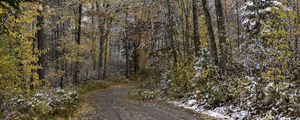 Превью обои дорога, лес, осень, снег, природа